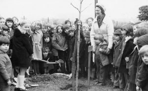 Mrs Grace Davison plants a tree for Osborne WI in 1974